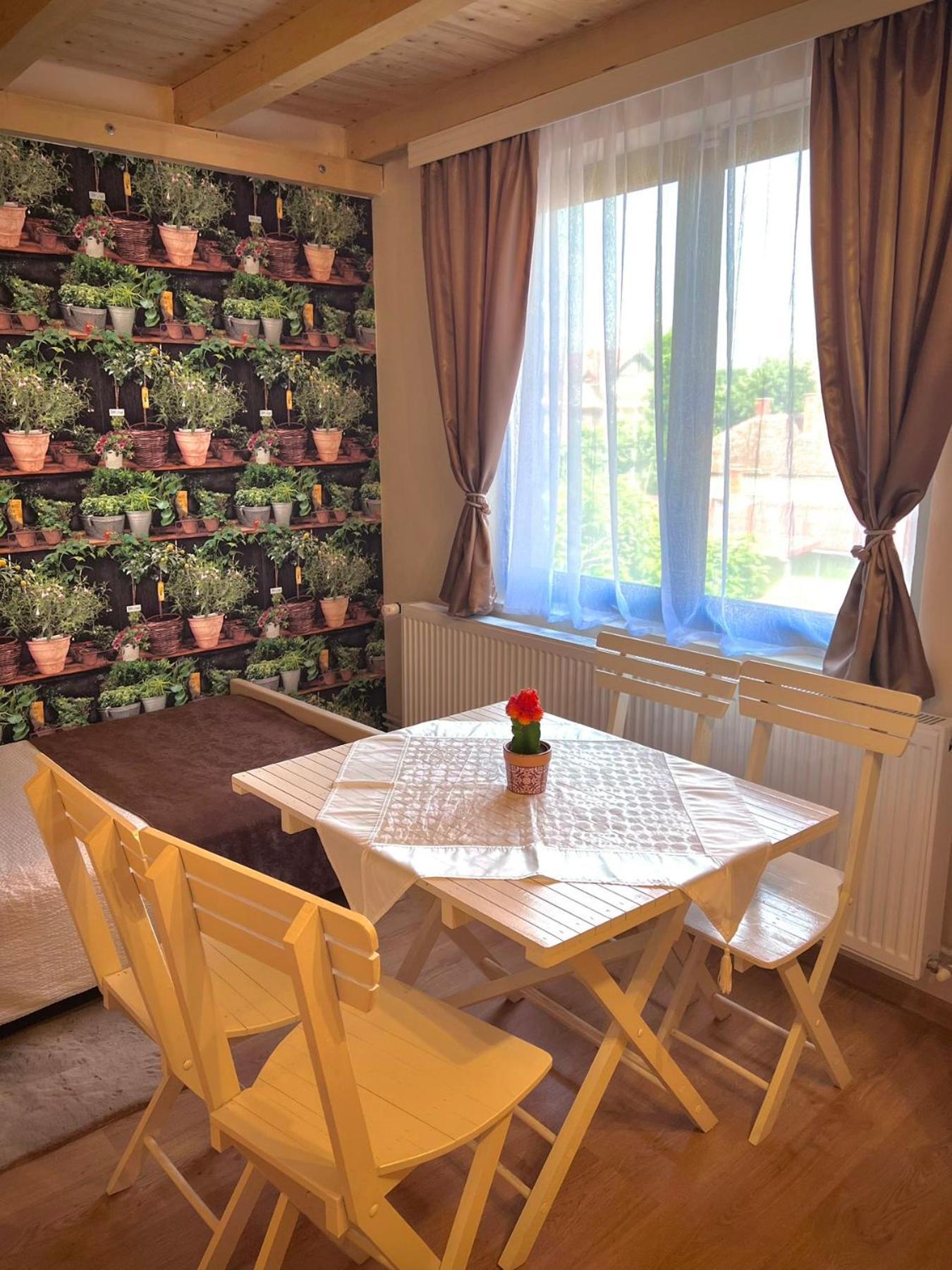 International Inn Paraćin Zewnętrze zdjęcie