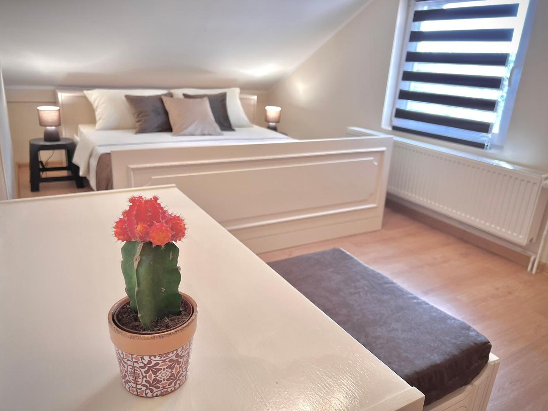 International Inn Paraćin Zewnętrze zdjęcie